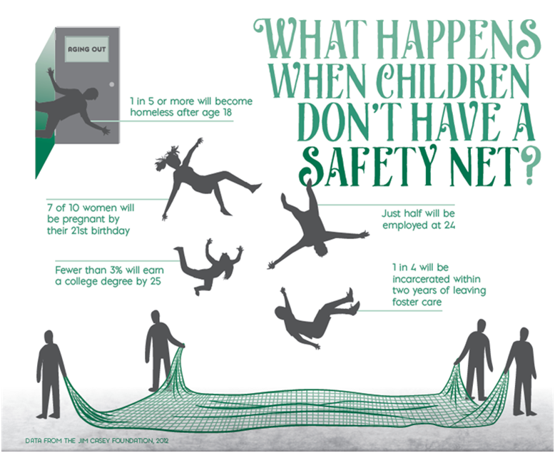 Safety Net Infographic